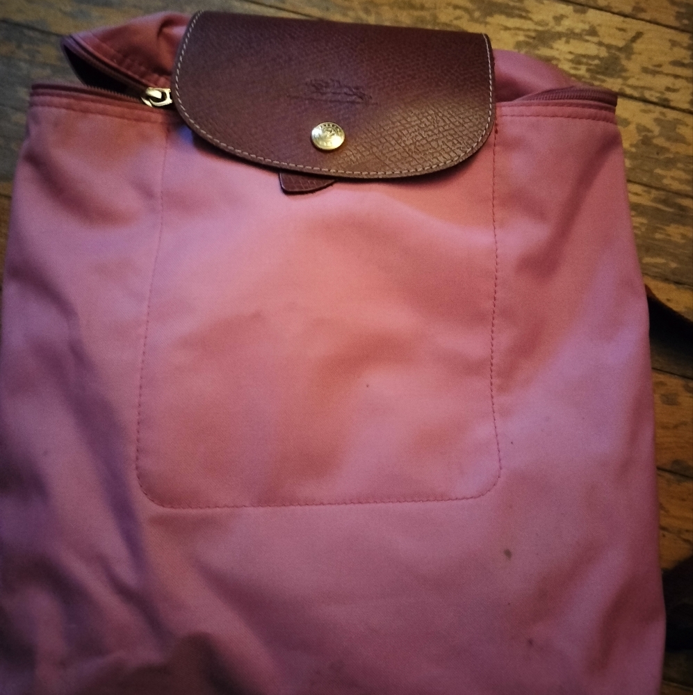 Longchamp pale pink backpack, clean on inside some spots on outside